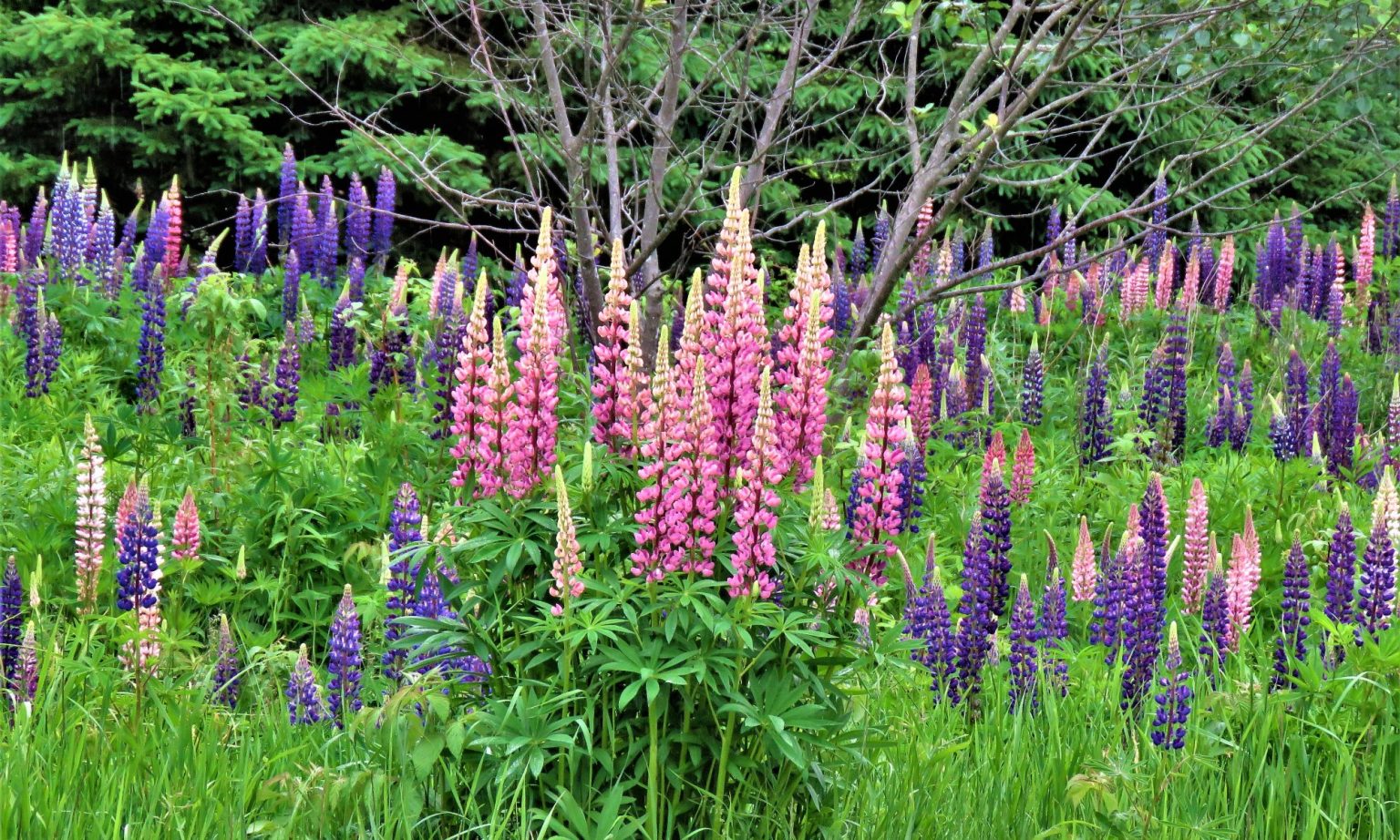 Township Board Meeting Minutes – Arvon Township